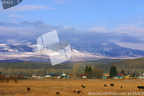 Image of Countryside - Drive by Shooting