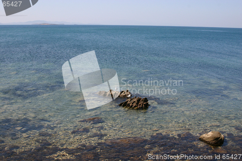 Image of Two Seagulls and the Sea