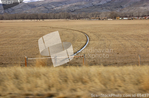 Image of Side of the Road - Drive by Shootings