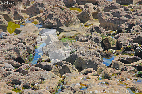 Image of Wet sea stone, close-up