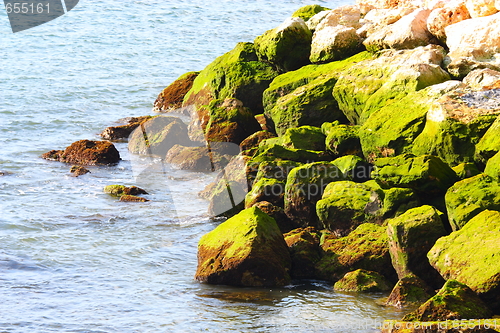 Image of Rocks on an ocean coast