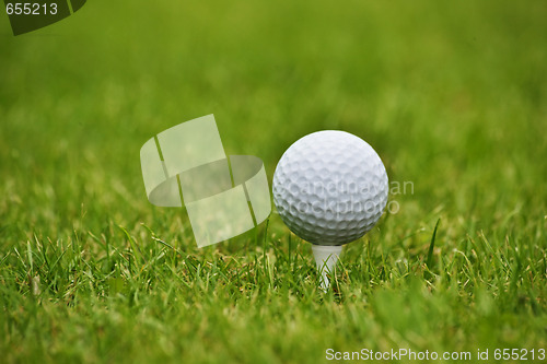 Image of Golf ball in grass, close up