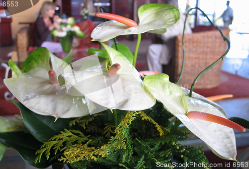 Image of Anthurium flower decoration