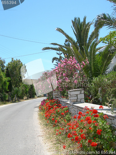 Image of greek island street scene with flowers