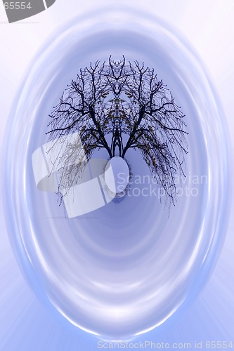 Image of Abstract Tree