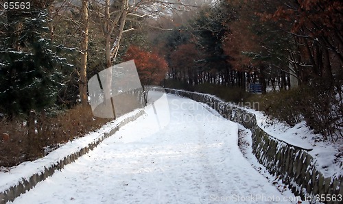 Image of Winter path