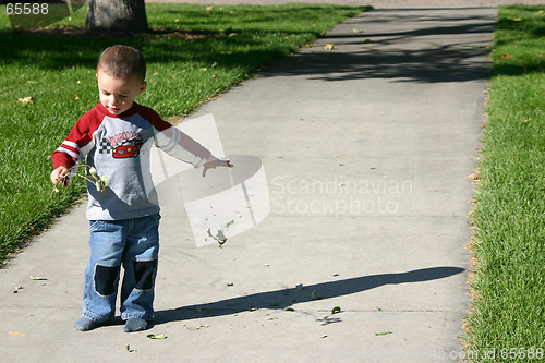 Image of Tearing off the Leaves