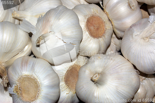 Image of Garlic 01