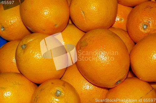 Image of Oranges 01