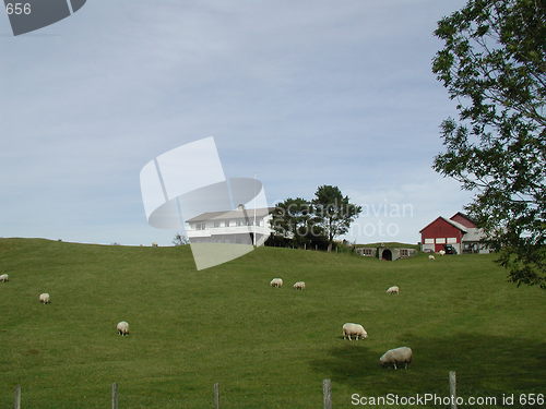 Image of Farm