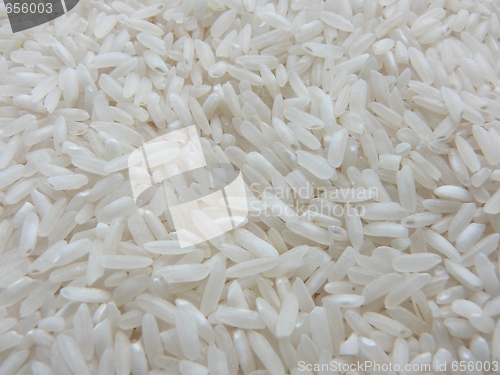 Image of Rice