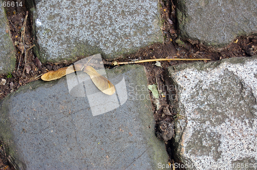 Image of Autumn Path 01