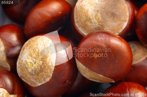 Image of Conkers 01
