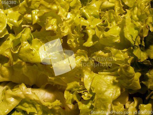 Image of salad