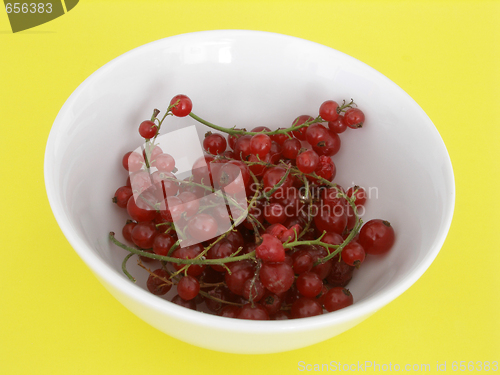 Image of currant