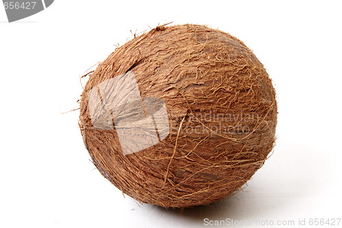 Image of Coconut isolated