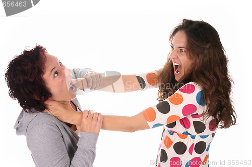 Image of Two young woman fighting 