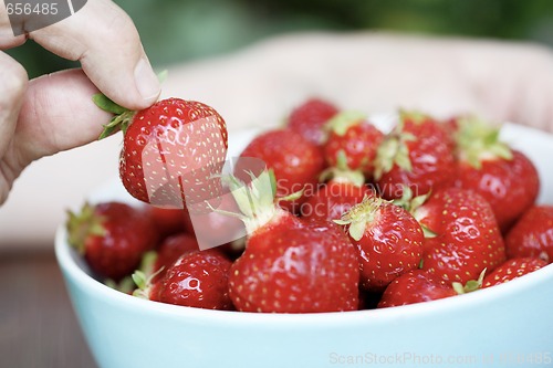 Image of Holding a strawberry.