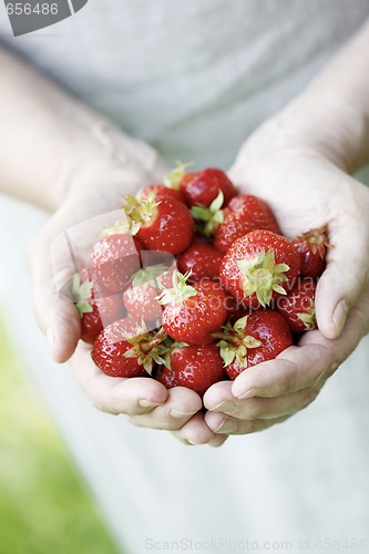 Image of Holding fresh strawberries.