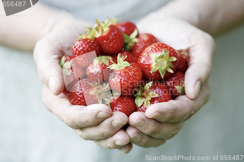 Image of Holding fresh strawberries.