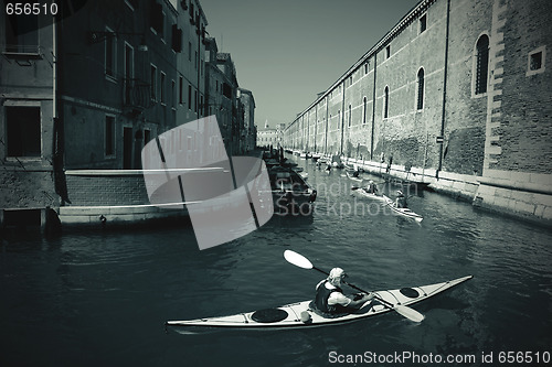 Image of Kayaks Venice