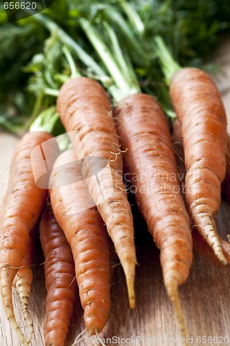 Image of Carrots