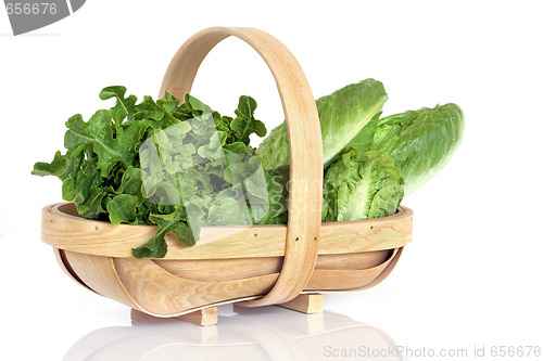 Image of  Lettuce Varieties in Rustic  Basket