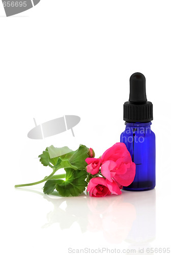 Image of Geranium Flower Essence