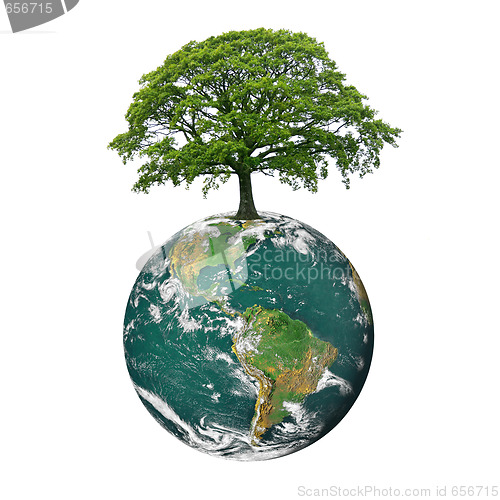 Image of Save the Trees