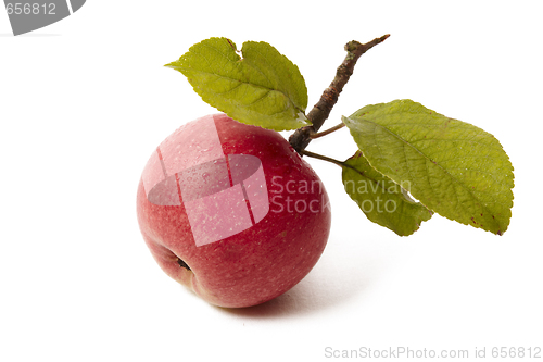 Image of Ripe fresh red apple with leaf