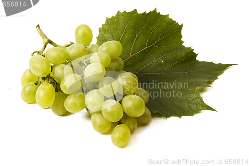 Image of Green grape