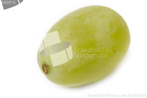 Image of Green grape. Macro