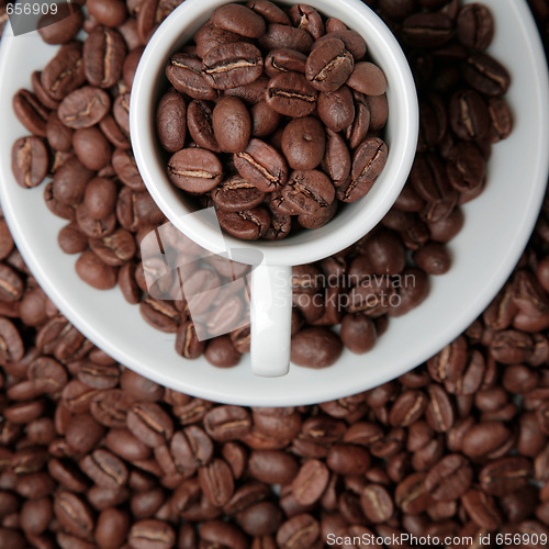 Image of Coffee Cup and Beans