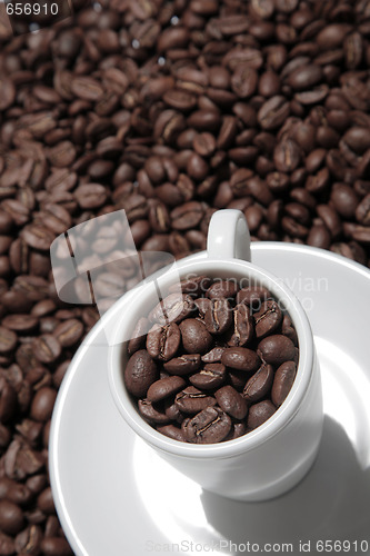 Image of Coffee Cup and Beans