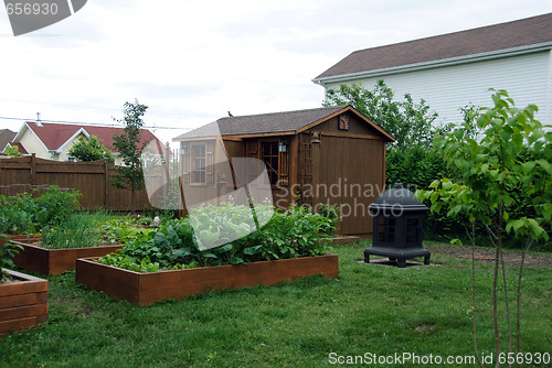 Image of Square foot gardening