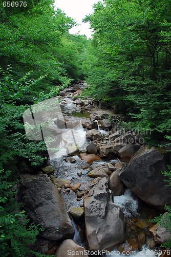 Image of Small water falls