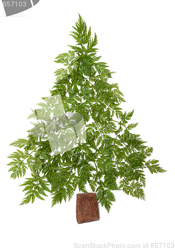 Image of Decorative cristmas spruce