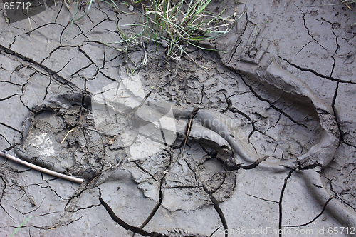 Image of Muddy Footprints 01