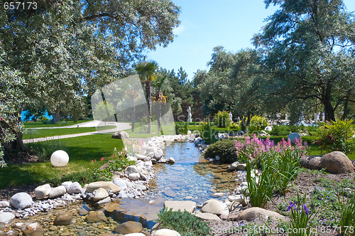 Image of summer garden