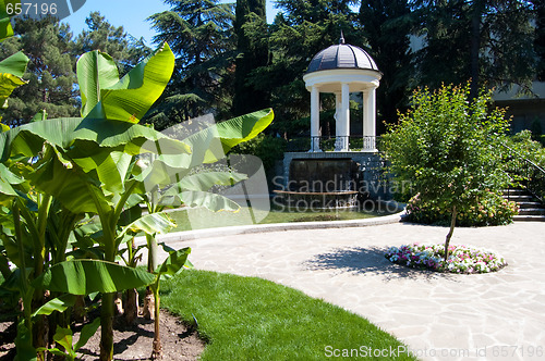 Image of summer garden