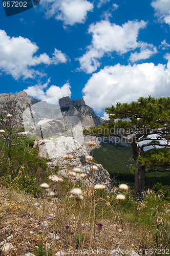 Image of sight on ai-petri mountains