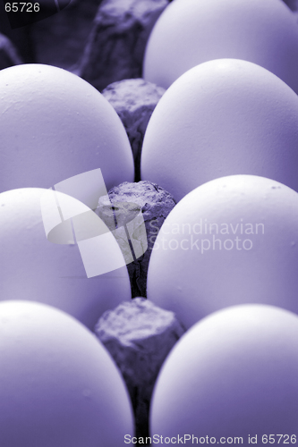 Image of Close up on Eggs in a Carton