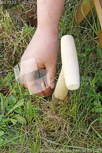 Image of Gardening