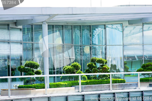 Image of Windows and garden