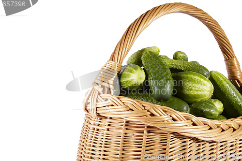 Image of Cucumber on basket