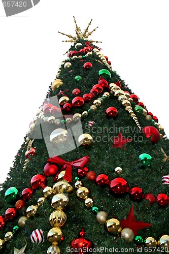 Image of Christmas Tree