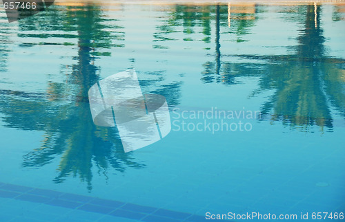 Image of Palms reflection in pool