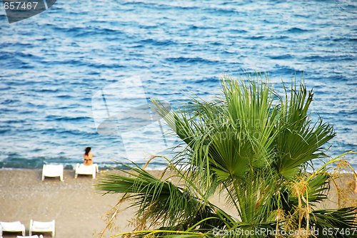 Image of Beach landscape