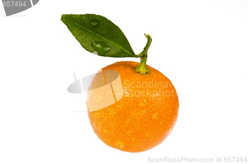 Image of mandarin, calamondin