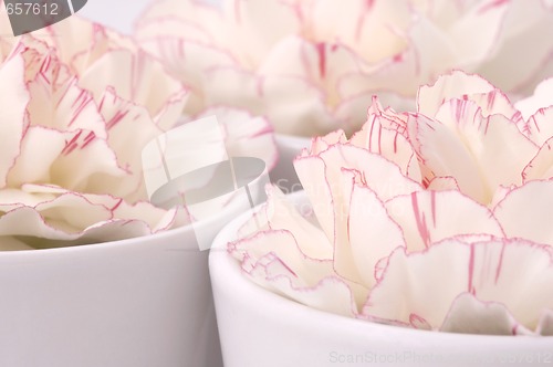 Image of beauty flowers and china